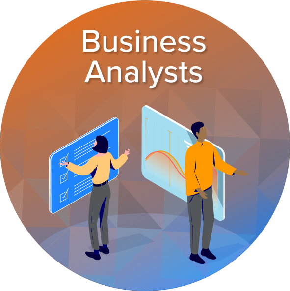 business analysts